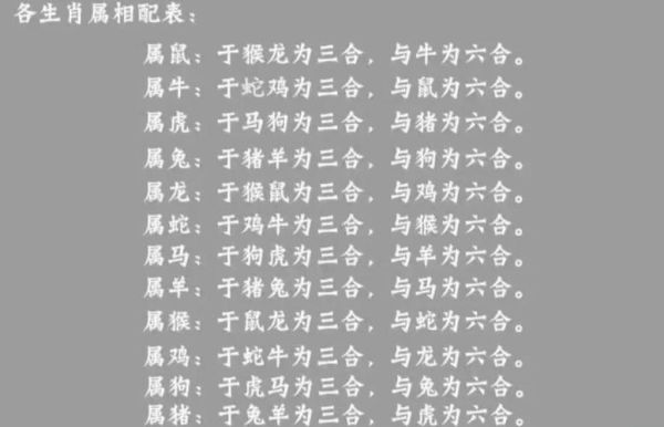 生肖属相相合不合（生肖属相相合不合怎么看）