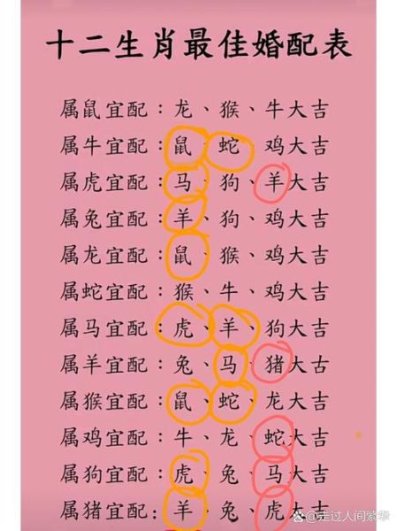 虎羊十二生肖属相（虎羊生肖合不合？一看就懂💡）