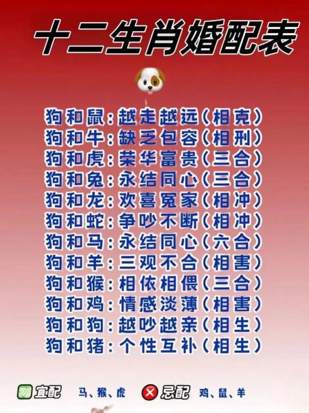 生肖与属相最佳搭配表（2025最新生肖婚配宜忌全表）