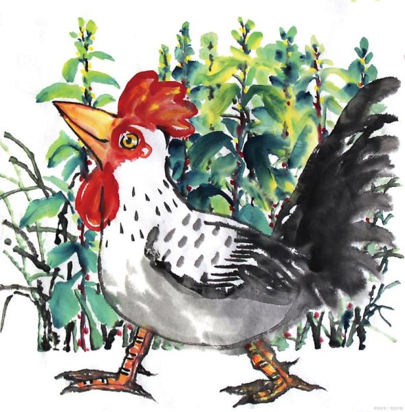 生肖鸡跟什么属相相冲(生肖鸡跟哪些生肖相冲?)