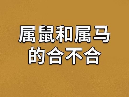 马的婚姻生肖属相(“马与属鼠婚姻合吗”吉凶速查)