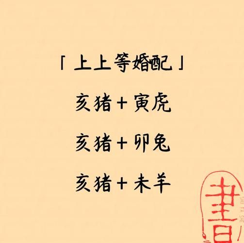 生肖猪适合什么属相（属猪最佳婚配属相全指南）