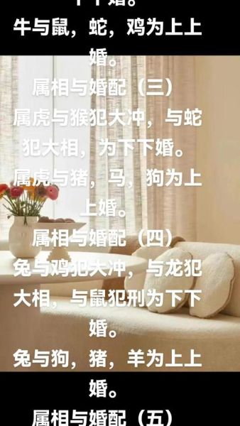 老鼠生肖不合的属相（鼠和马生肖相冲吗）