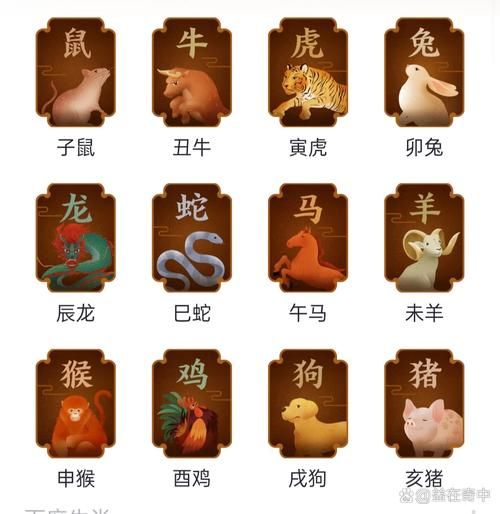 生肖排行大属相（生肖排行大属相到底怎么排）