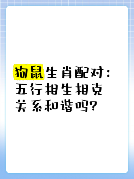 属相狗和哪些生肖相克（属狗和什么生肖最不和）