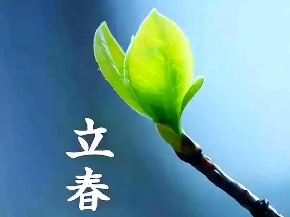 立春属相算不算新生肖（立春出生到底属哪个生肖？）