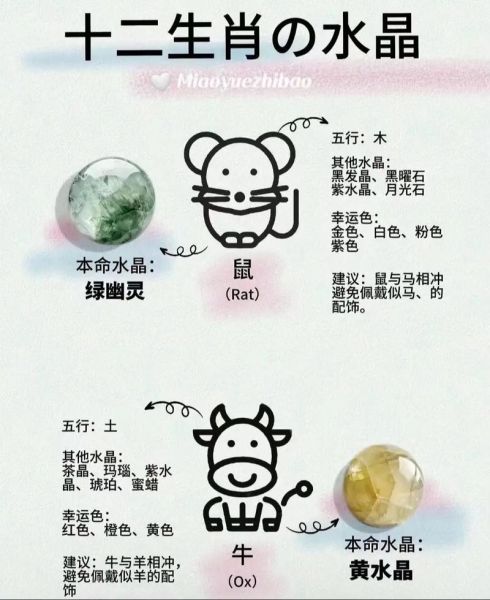 带什么生肖的属相好（带什么生肖的属相好？2024转运指南）