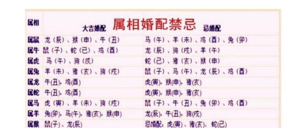 生肖属相自刑（生肖属相自刑是什么意思？小白入门全解）