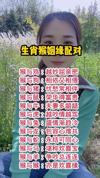 生肖猴适合的属相（属猴最配生肖排名🐒❤️）