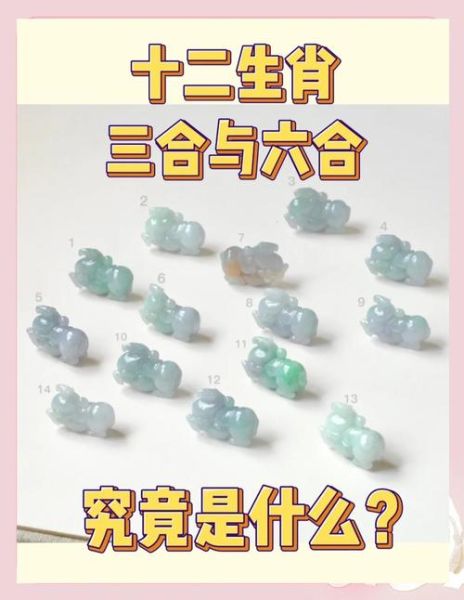 虎年冲到什么生肖属相（虎年冲到什么生肖属相？小白必读）