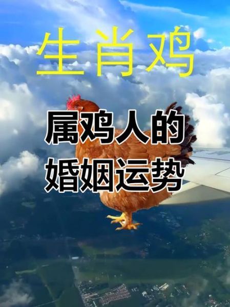 生肖鸡适合什么属相（生肖鸡最配什么属相？合婚指南来了）