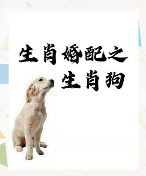 生肖狗婚配最佳属相（属狗和什么属相最配）