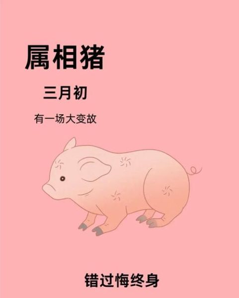 生肖猪禁哪个属相（生肖猪最忌哪个属相？新手避坑指南）