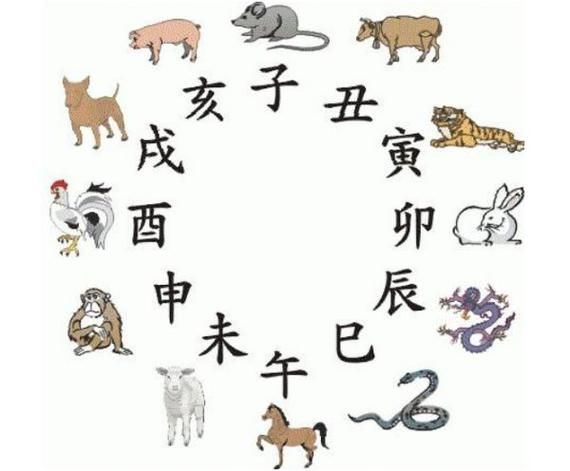 虎不宜配的生肖属相(虎不宜配的生肖有哪些)