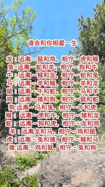 十二属相生肖语录（十二属相生肖语录有哪些？）