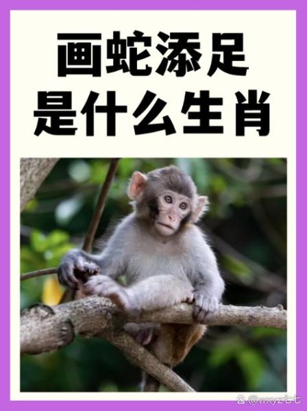 战国对应生肖属相图（战国生肖属相图对应哪些动物？）