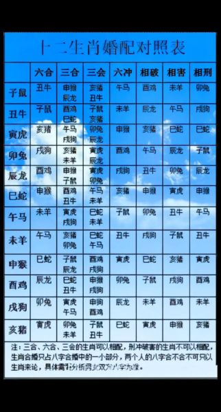 生肖男婚配属相（生肖男婚配属相查询表最准指南）