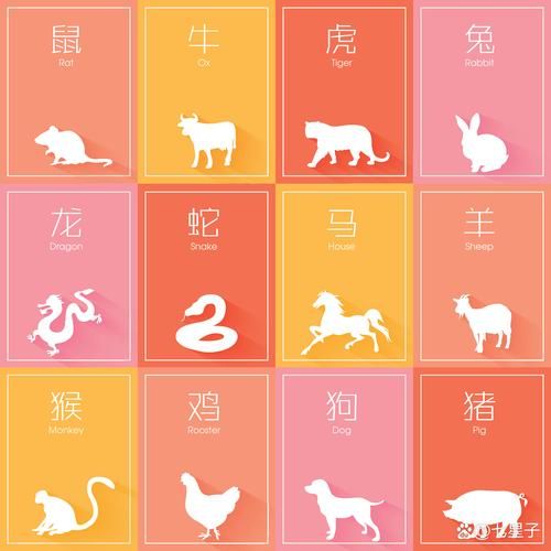 锋菲的生肖属相（锋菲生肖属相是什么）