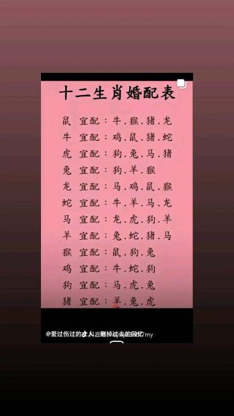 属相马宜配生肖（属相马最配的生肖排行）