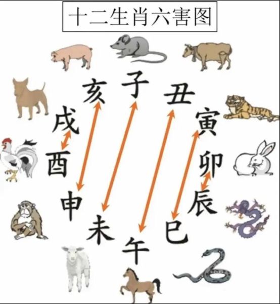 生肖属相相生相（生肖属相相生相克表准吗）