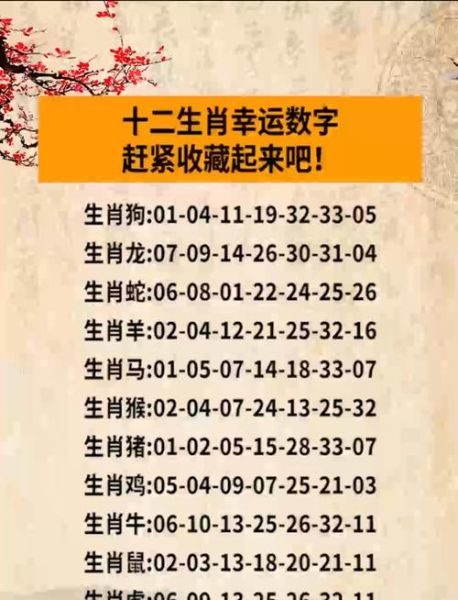 生肖属相概率（生肖属相概率计算器真的准吗？小白入门指南）