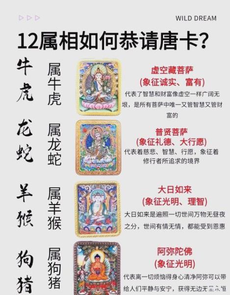 佛教十二生肖属相（佛教十二生肖属相全解😇🐭）