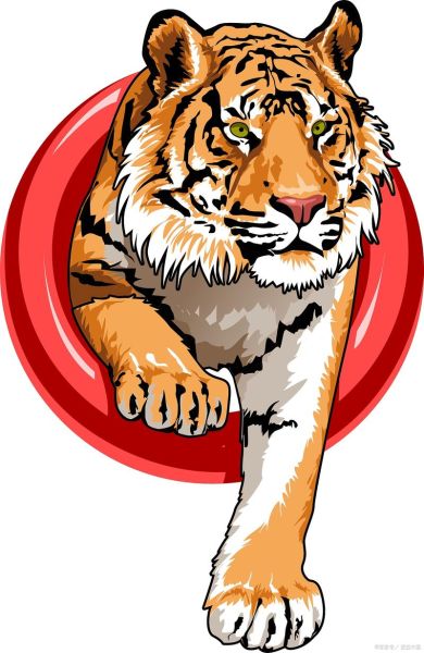 袁尚属相是什么生肖