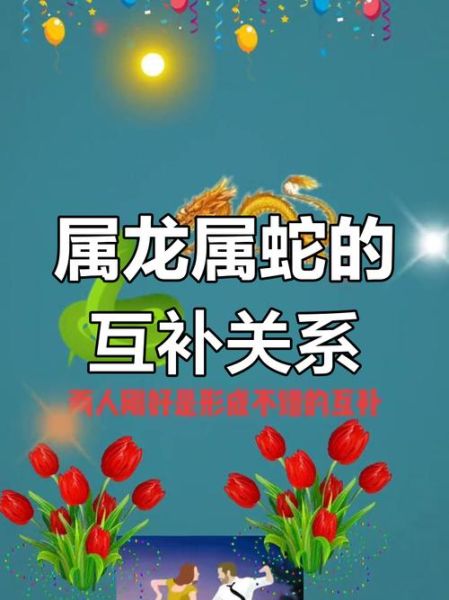风和雨生肖属相合不合（风和雨生肖属相合不合？新手秒懂 🐍🐲）