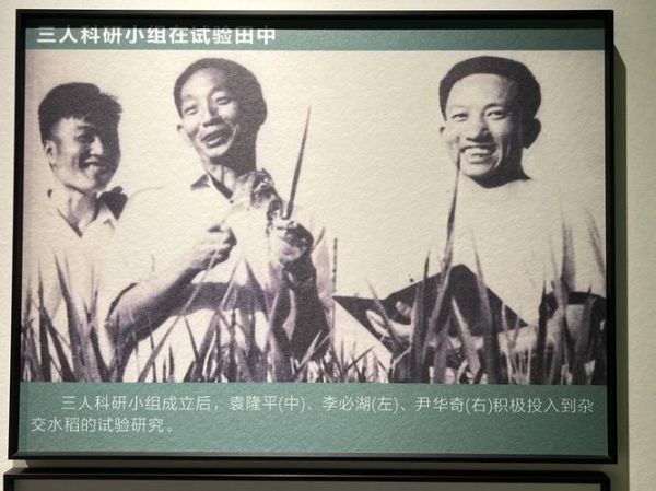 袁隆平的生肖属相（袁隆平的生肖属相是什么）