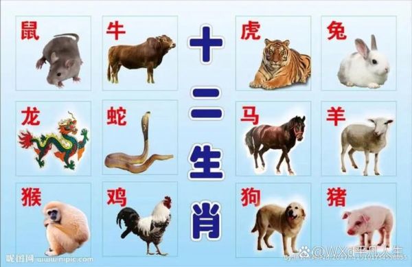 详解什么动物生肖属相（什么动物生肖属什么的详细对照表）