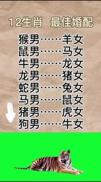 马男最佳婚配生肖属相(90后问爆的马男最佳婚配属相排行)