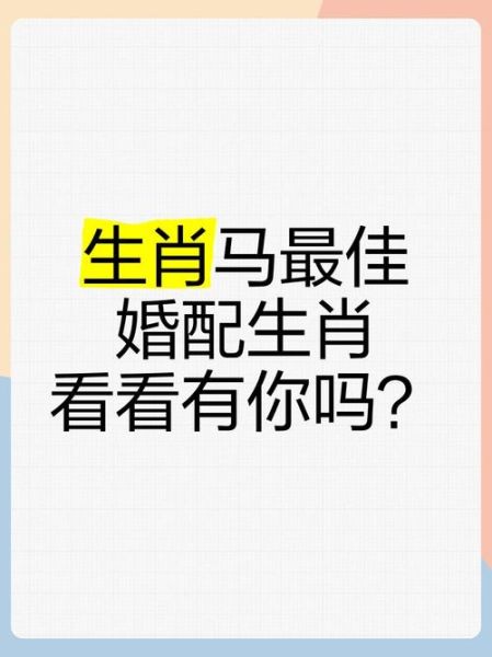 生肖马合拍的属相（属马的最佳伴侣属相有哪些😊）