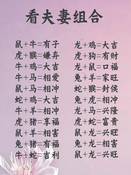 生肖马合拍的属相（属马的最佳伴侣属相有哪些😊）