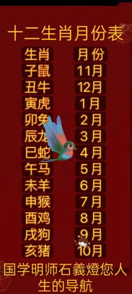 生肖属相的起始日期（生肖按哪天开始算新手一看就懂😉）