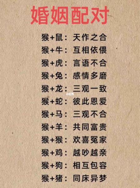 生肖猴不合属相（生肖猴与什么属相不合）