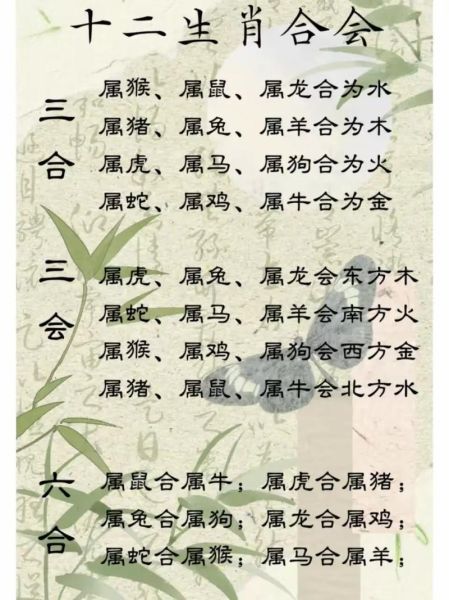 鸡猴属相相配的生肖（鸡猴属相合不合婚？新手必读全解析）