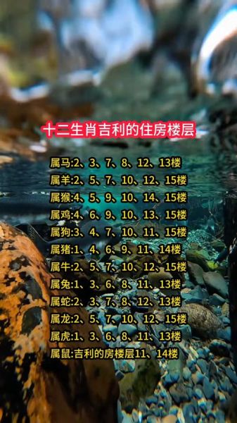 生肖忌讳属相楼层（生肖忌讳属相楼层怎么选才旺家）