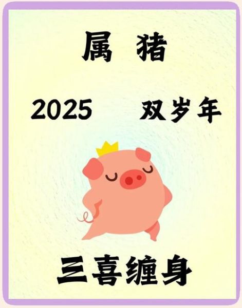 2019什么生肖属相（2019属什么生肖？小白秒懂猪年运势）