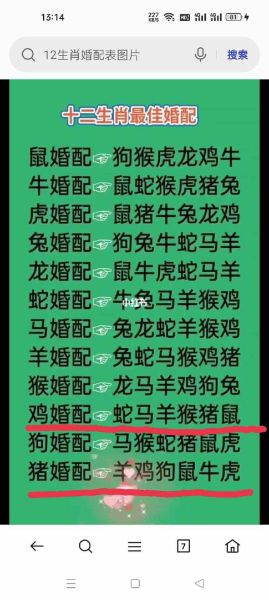 不易结婚生肖属相有哪些（不易结婚的生肖属相有哪些）
