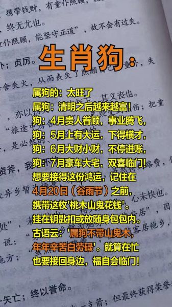 属相狗克什么生肖（属狗到底克哪些生肖？新人避坑指南）