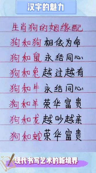 狗生肖最佳配对属相（狗和什么生肖最合？）