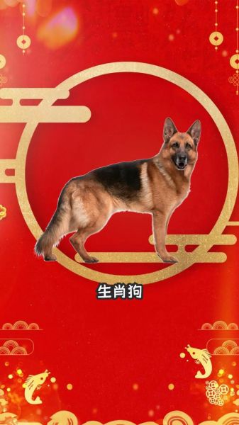 狗是生肖还是属相