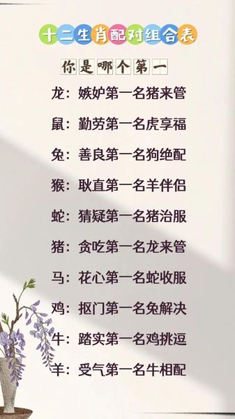 兔年最佳生肖配对属相(兔年最佳生肖配对属相🐰)