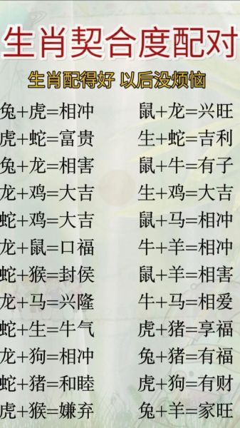 兔年最佳生肖配对属相(兔年最佳生肖配对属相🐰)
