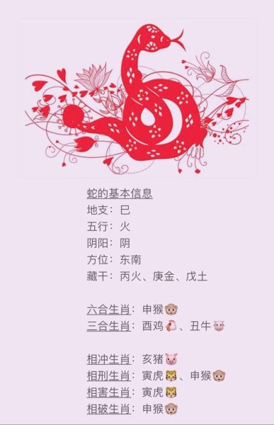 生肖蛇属相是什么（生肖蛇是哪一年的）