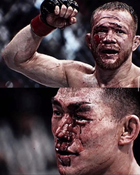 宋亚东属什么生肖属相（宋亚东生肖属相揭秘🐉）