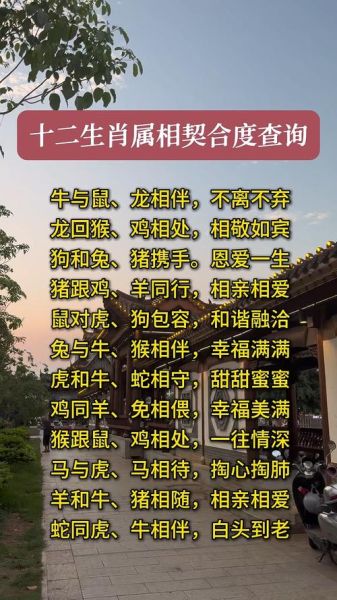 生肖派对属相指数（生肖派对属相指数查询指南）