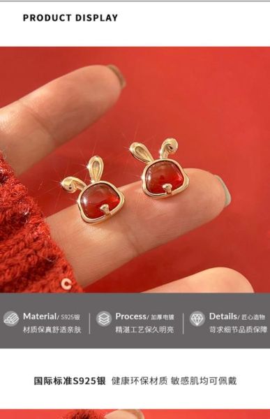 生肖属相耳饰（兔年耳环怎么选颜色好看😍）