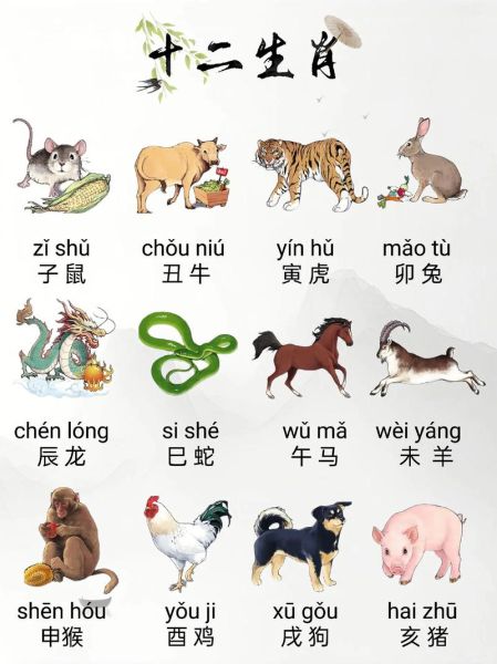 生肖属相图文图片（生肖属相图文图解大全）