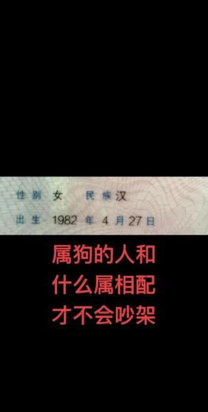 生肖狗喜欢什么属相的人（属狗的和什么属相最配？）